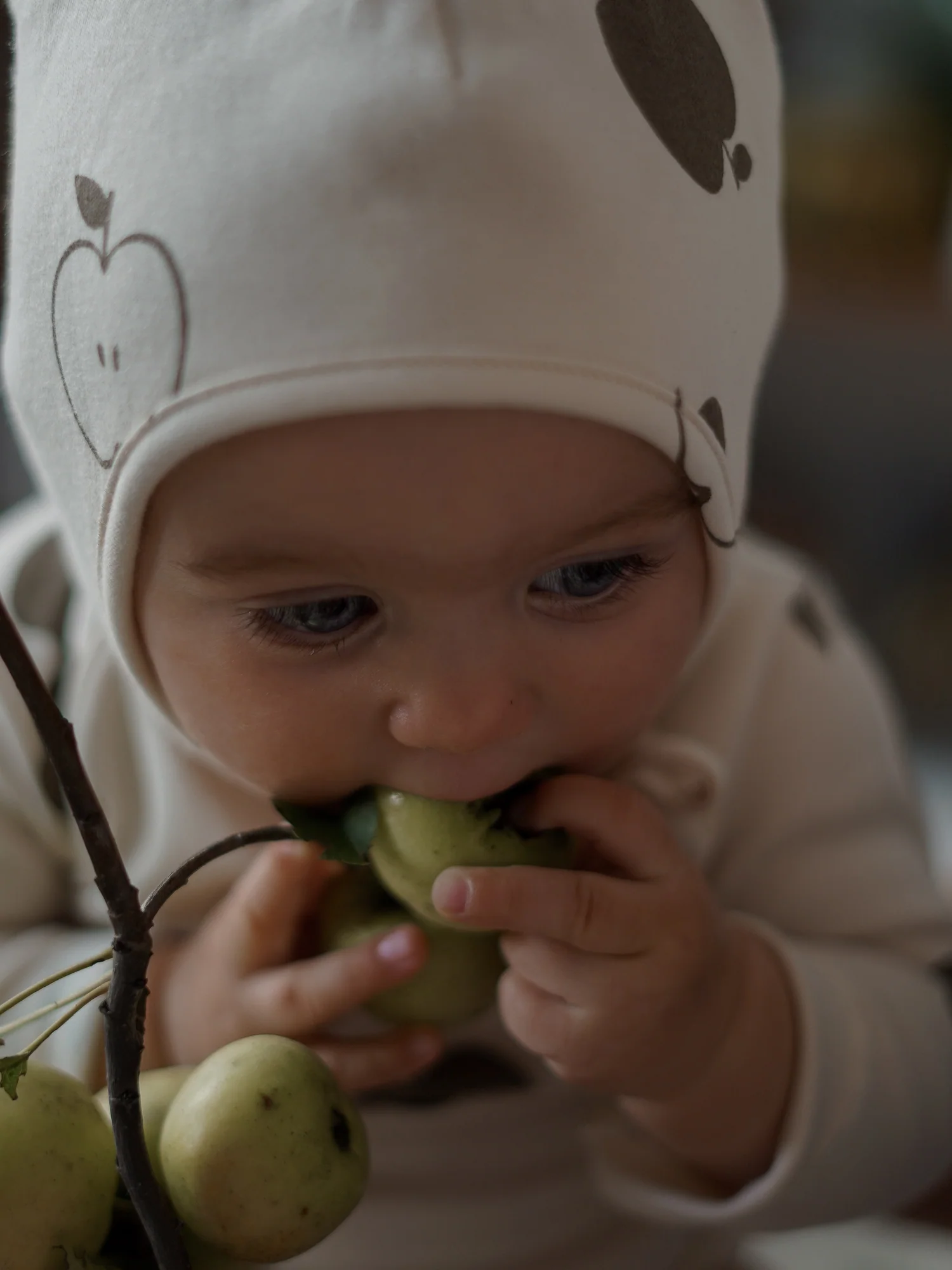Basil Apple Orchard Bonnet - Image 3